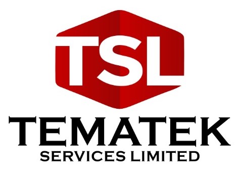 Tematek Services Limited